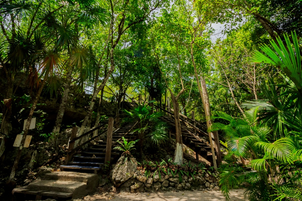 Dos Ojos Cenote Jungle