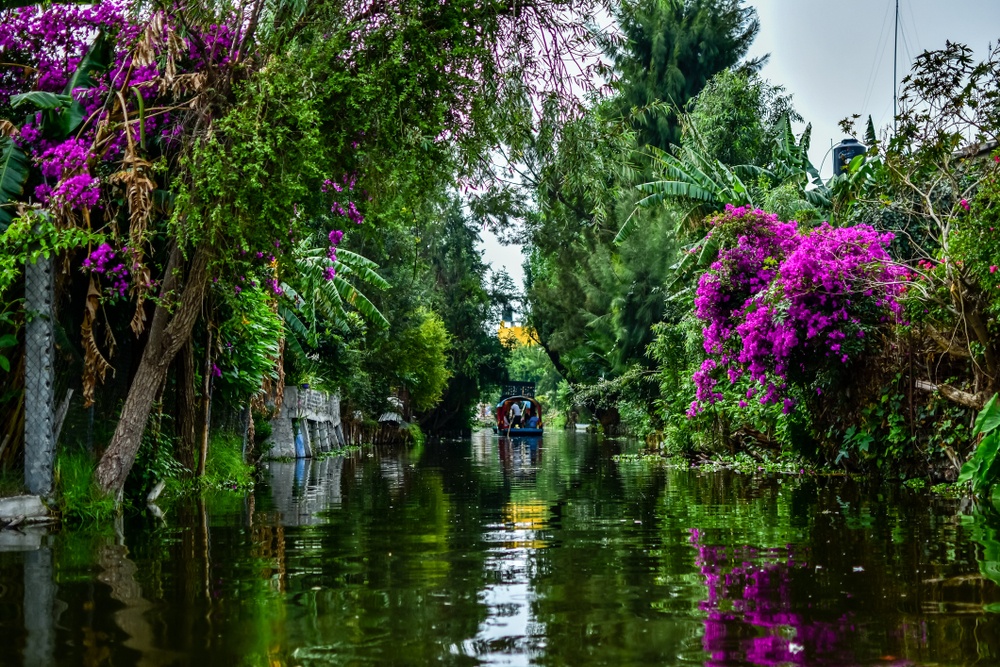 Panoramic view of the canals in Xochimilco
