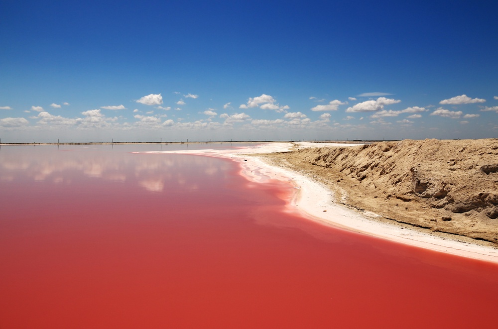 Reddish waters of the lagartos river