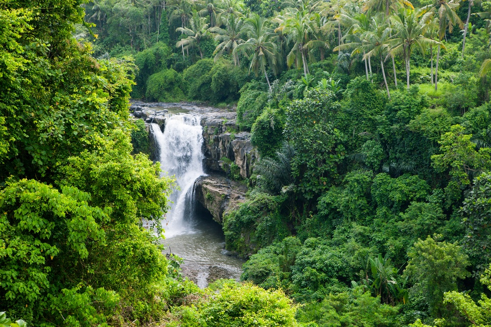 Waterfall in the Mayan jungle