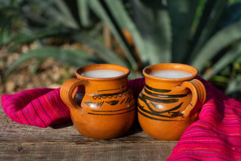 Freshly squeezed pulque