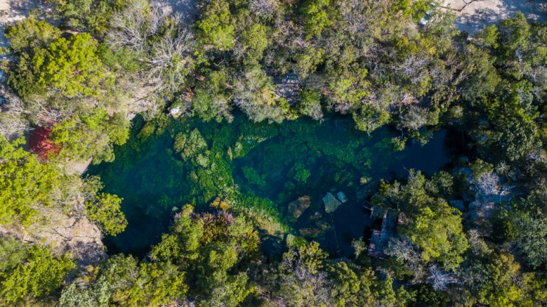 The Garden of Eden cenote · Oasis Hotels Blog