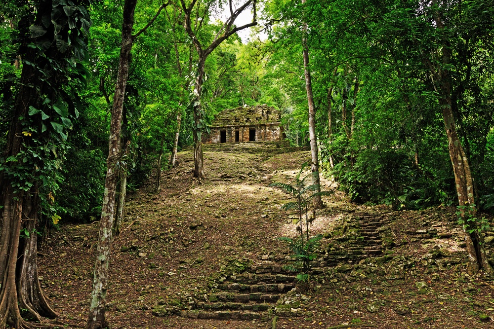 Selva de Chiapas